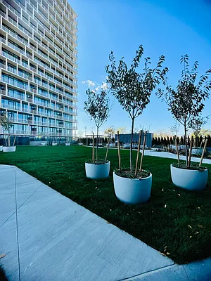 Rented by E Realty International Corp | media 14