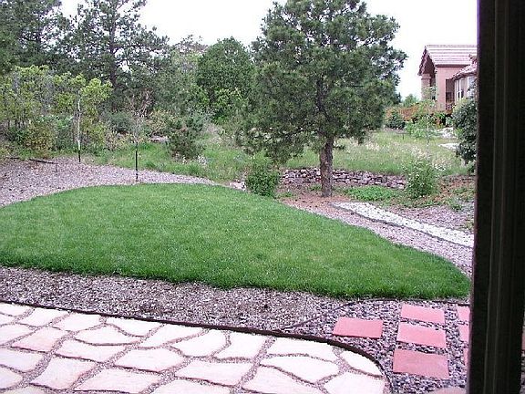 View from breakfast nook out back