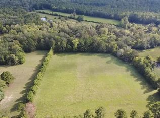 3550 Tbd County Rd, Woodville, TX 75979