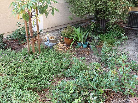 Green space between units