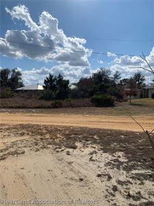1823 N Lynbrook Rd, Avon Park, FL, 33825