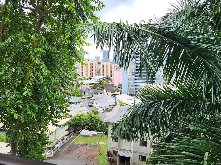 View from lanai