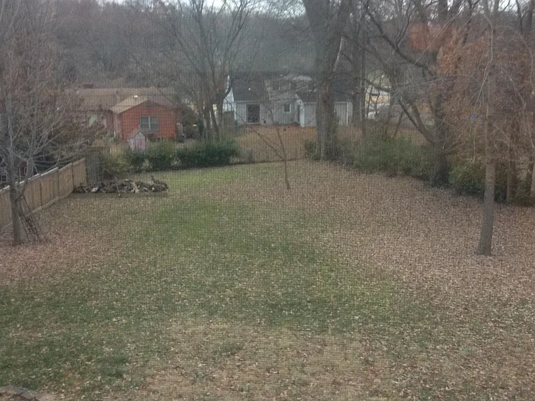 Large Fenced-in Back Yard