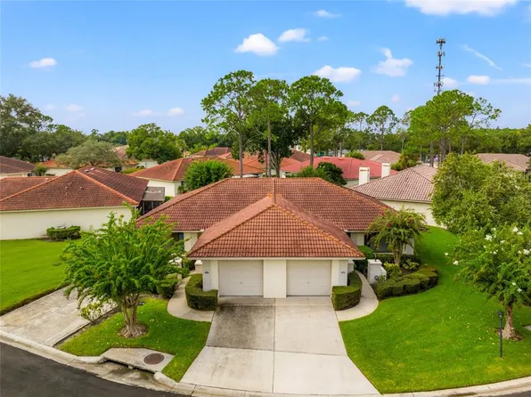18406 AINTREE COURT, TAMPA, FL 33647