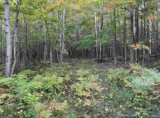 Arrowood Rd PARCEL 1, Manistique, MI 49854