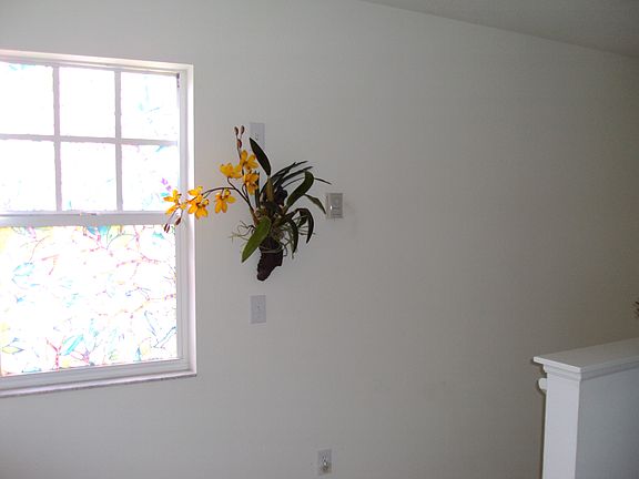 5th image of 13634 Forest Lake Dr