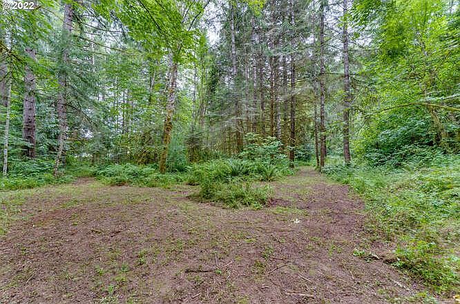 2nd image of Winlock Vader Rd