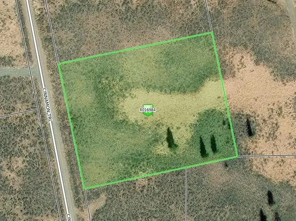 1316 Cinnamon Trail, Powderhorn, CO 81243