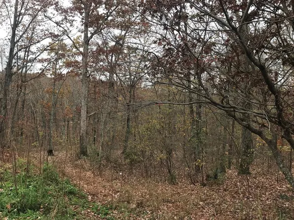 197 Old Homestead Rd, Big Sandy, TN 38221