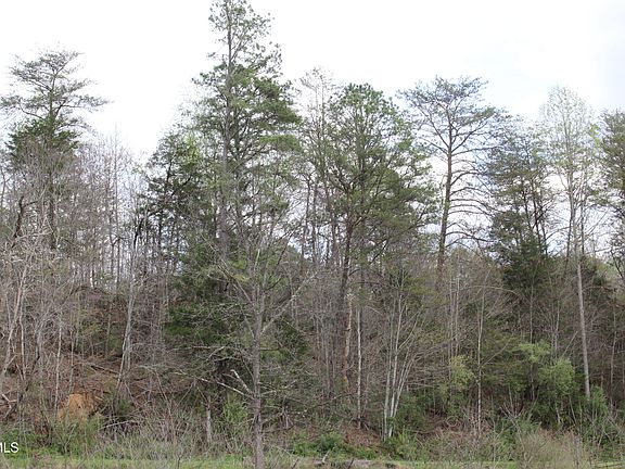 3rd image of 1 Reeds Creek Rd