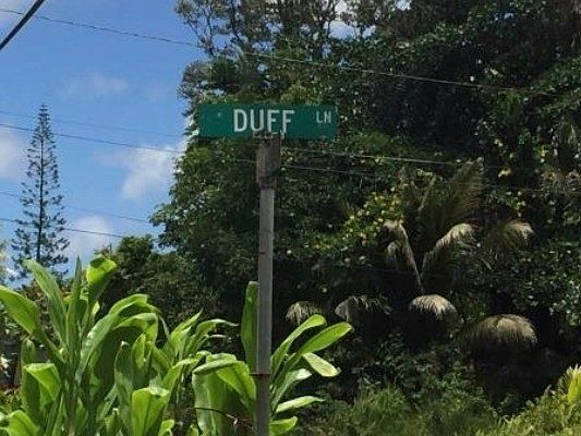 2nd image of Duff Ln Lot 113
