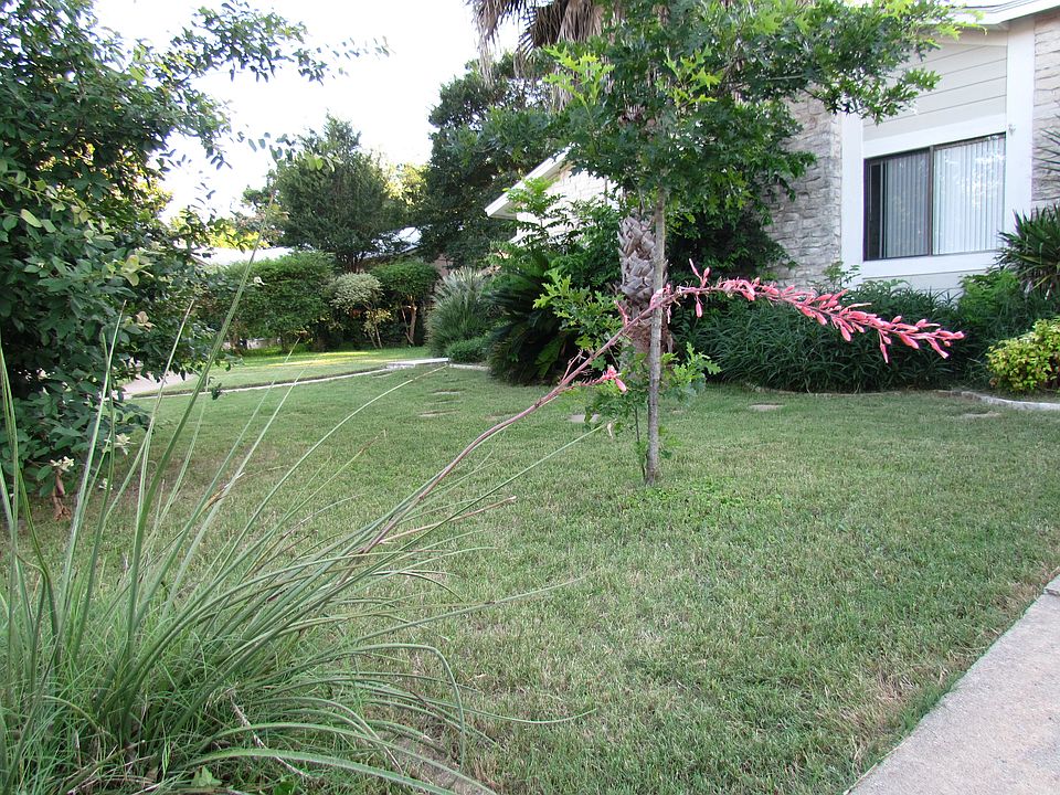 Well maintained front and backyard