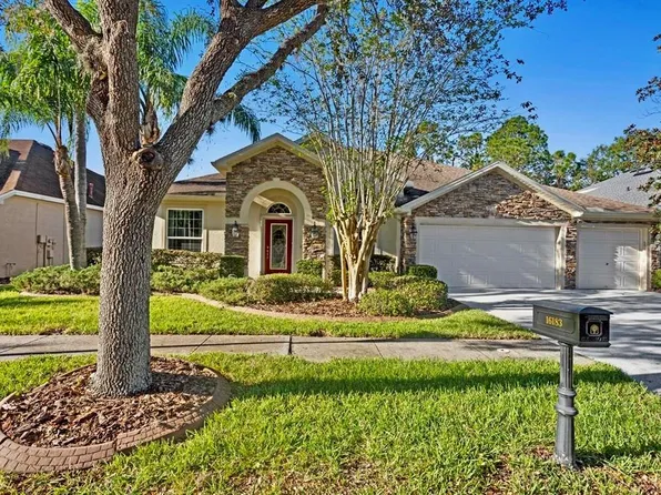16183 Colchester Palms Dr, Tampa, FL 33647
