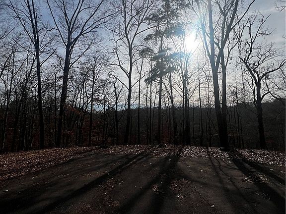 5th image of 5 Lune Ln #24