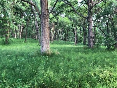 Crazy Horse Ln, Eustis, FL, 32736