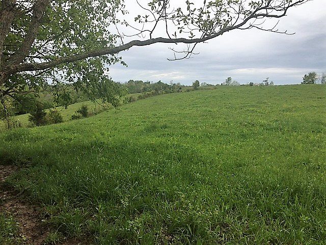 2nd image of 3665 Stewart Ridge Rd