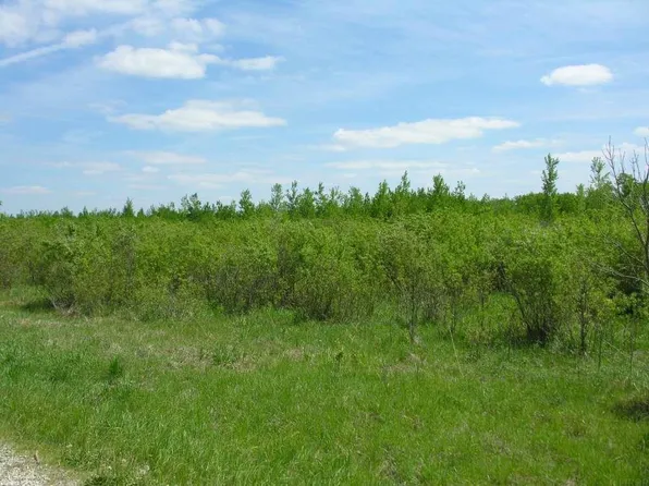 58381 140th St, Rose Creek, MN 55970