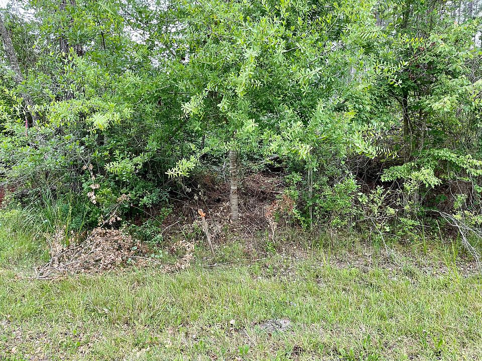 2nd image of 0 COUNTY ROAD 139B