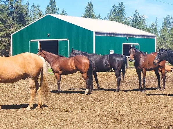 1810 W Paradise Rd, Spokane, WA 99224