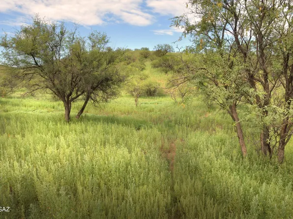 178 Tanglehead Ln Lot 43, Patagonia, AZ 85624