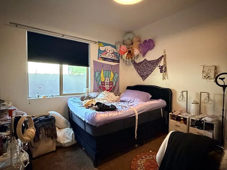 1518 E Hazel Dr — Photo 19