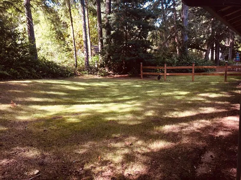 2635 Maccubbin Ln SE — Photo 3