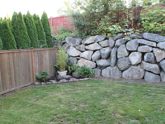 Backyard 1