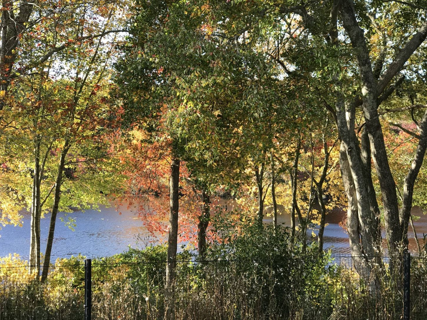  Fall Views of Beaver lake