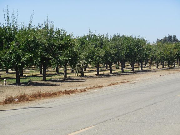 4th image of 2200 Encinal Rd