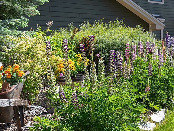 2nd image of 2609 Abbey Rd