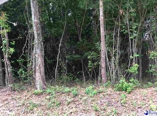 401 E Tierra Dr, Florence, SC 29505