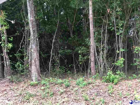 401 E Tierra Dr, Florence, SC 29505