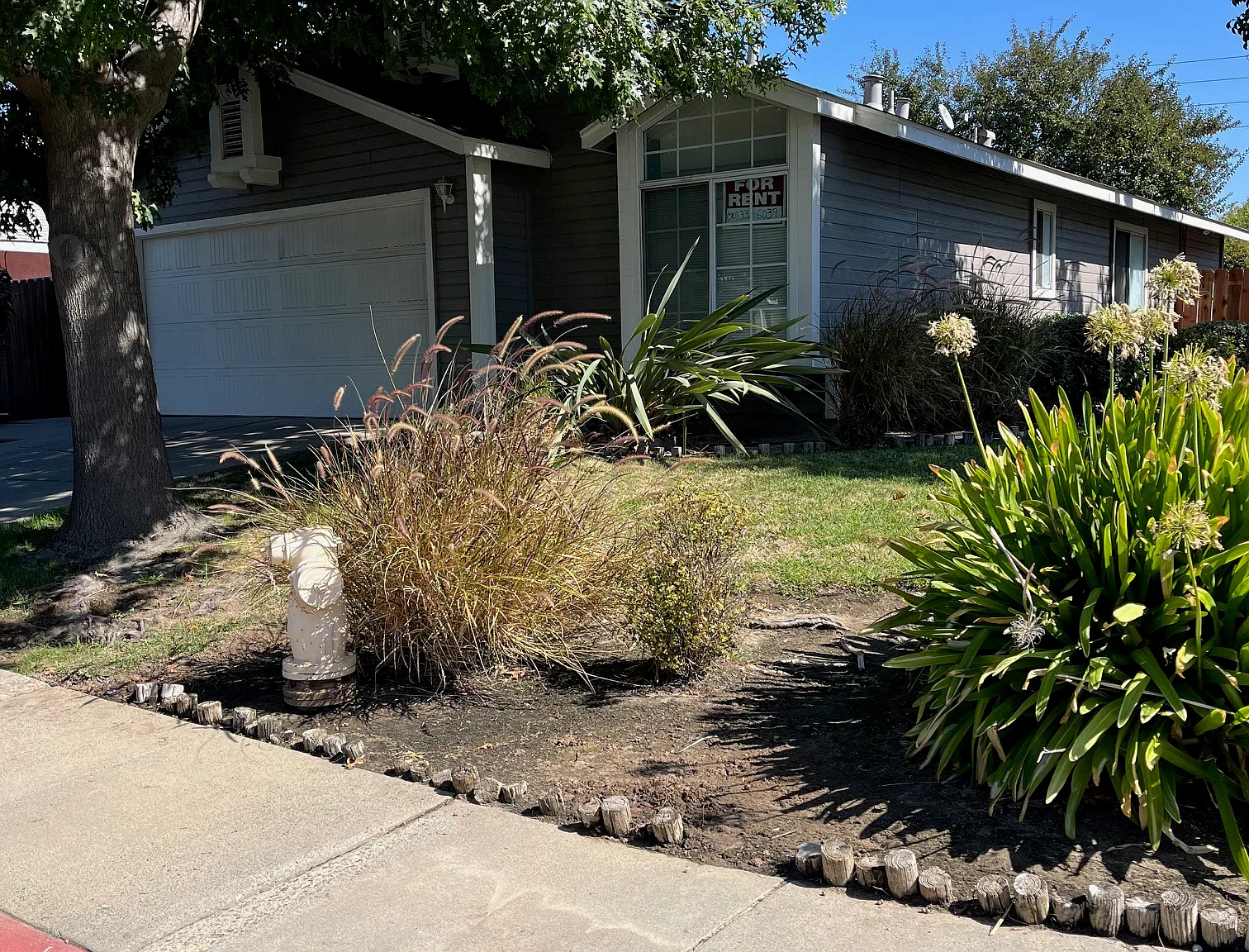 3 bed, 1198 sqft, $2,500 — Photo 2