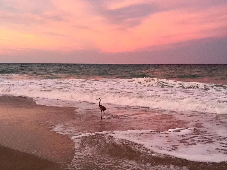 6710 S Highway A1A — Photo 45
