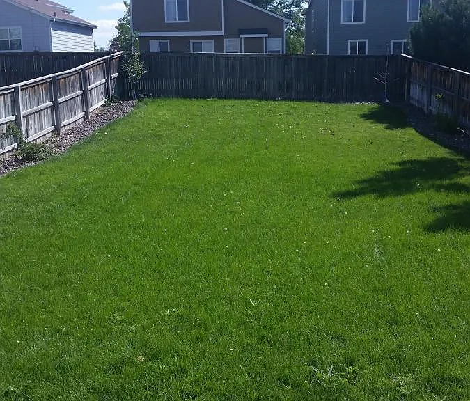 9741 Saybrook St — Photo 22