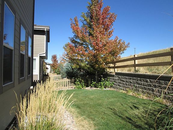 Back yard landscaping