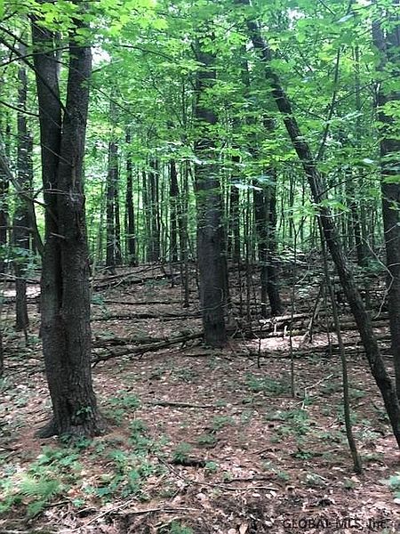 4th image of 0 KREIGER Lane