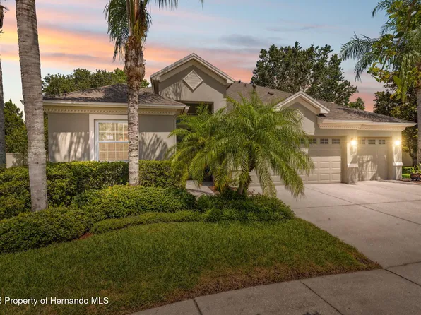 3243 Stonegate Falls Dr, Land O Lakes, FL 34638