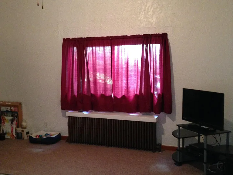 4 Dewitt St #1 — Photo 7