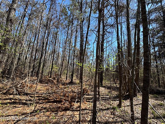 5th image of 0 N Circle Rd