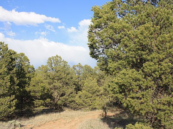 4th image of 7 Branding Iron Rd