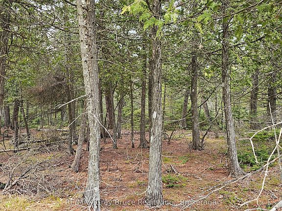 3rd image of LOT 255 Pedwell Point Dr
