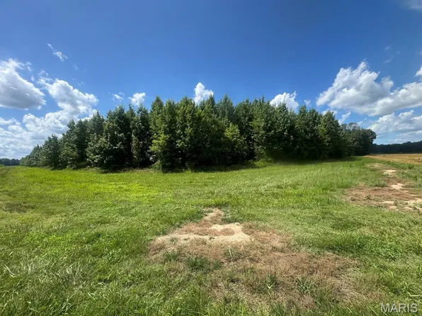 0 County Road 614, Broseley, MO 63932