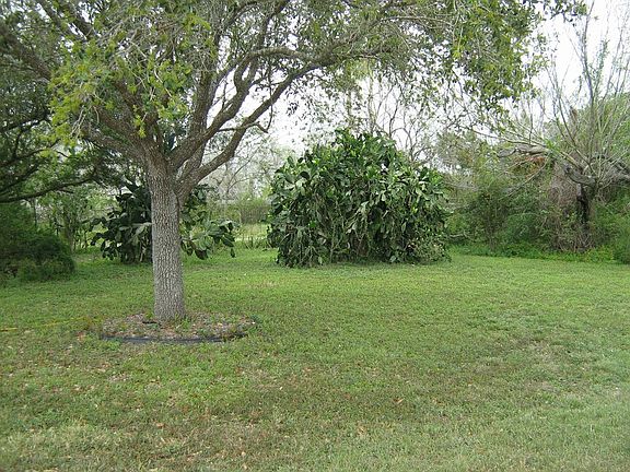 LUSH LANDSCAPING, MATURE SHADE TREES