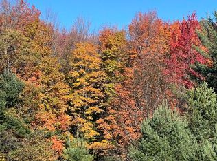 247 Blue Heron Dr SE, Kalkaska, MI 49646