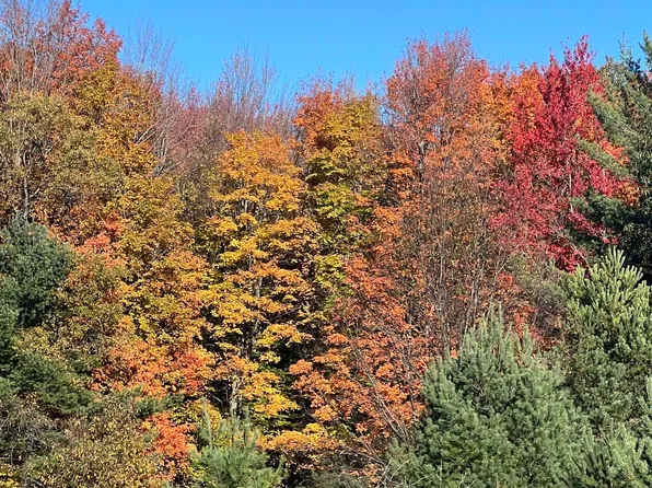 247 Blue Heron Dr SE, Kalkaska, MI 49646