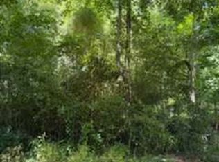 0 Windsor Way, Newnan, GA 30263
