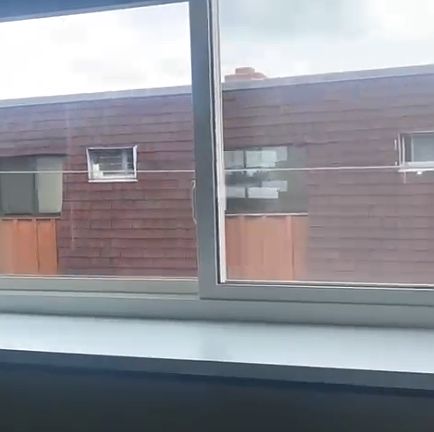 4th image of 4640 Oberlin Ave APT B6