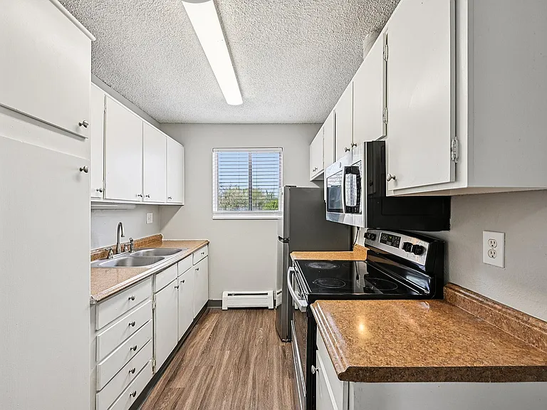 Modern galley kitchen