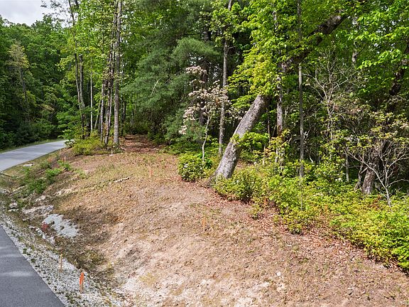 4th image of Lt 162 Lonesome Valley Road